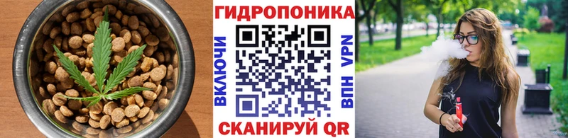 Canna-Cookies марихуана  гидра маркетплейс  Новое Девяткино  даркнет сайт 