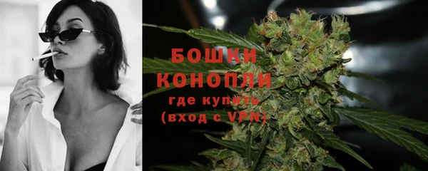 стафф Кущёвская