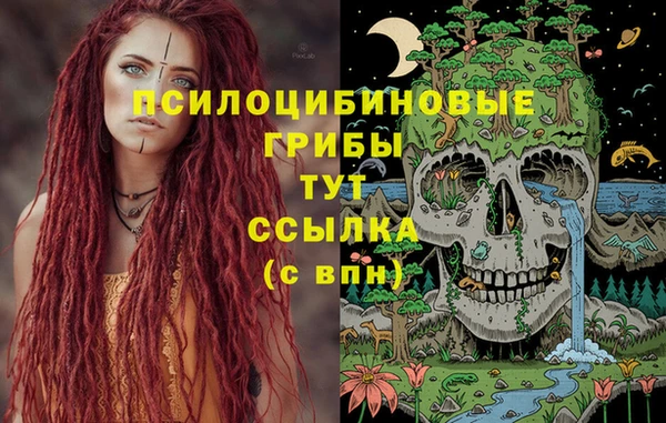 spice Кулебаки