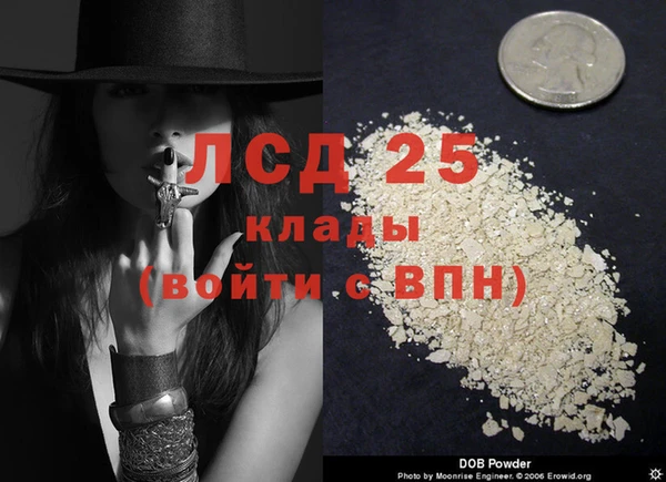 spice Кулебаки