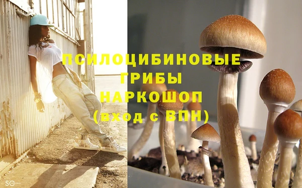 spice Кулебаки