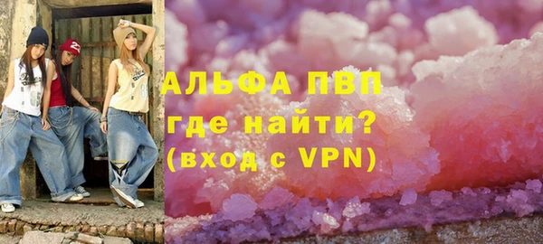 стафф Кущёвская